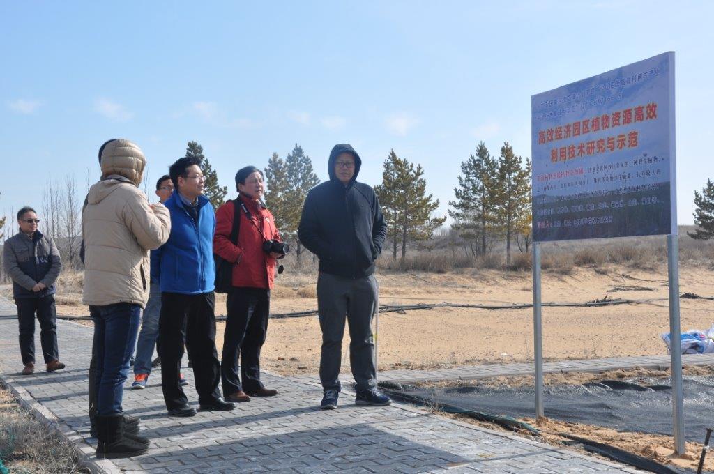 专家组在毛乌素沙地(内蒙古伊金霍洛旗)现场查看2